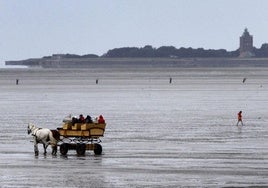 La extrema derecha alemana quiere confinar a solicitantes de asilo en una isla remota del mar del Norte