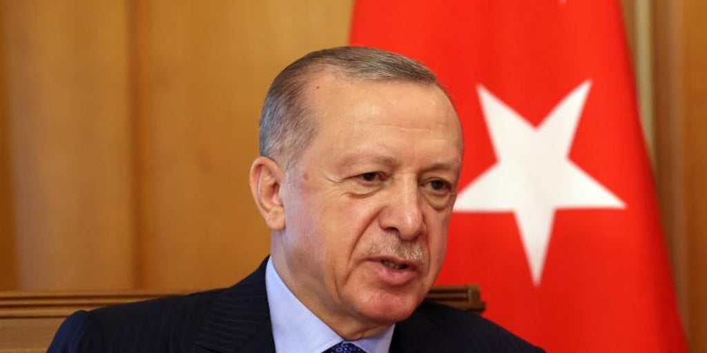 Erdogan muestra su respaldo a la tregua aérea y marítima propuesta por Zelenski