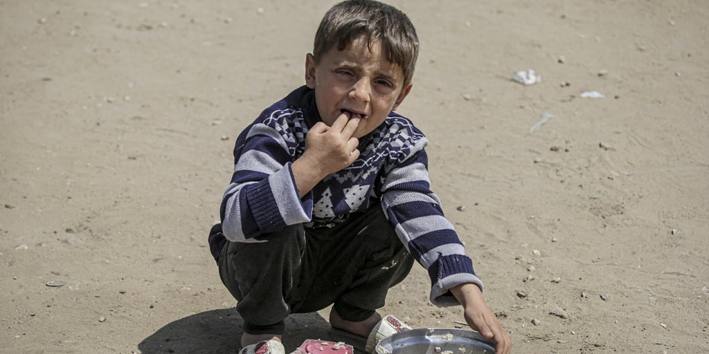 Israel se anexiona más de la mitad de Gaza tras dos meses de bloqueo