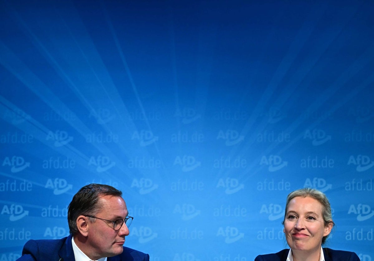 El partido asegura que la clasificación de «extremista» tiene un «impacto negativo obvio» sobre AfD y también sobre la democracia