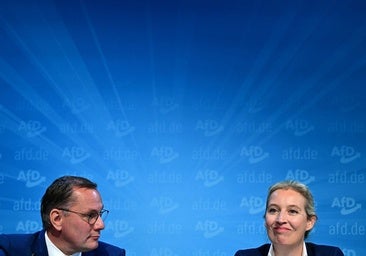 La AfD demanda a la agencia de Inteligencia alemana por etiquetarla de «extremista»