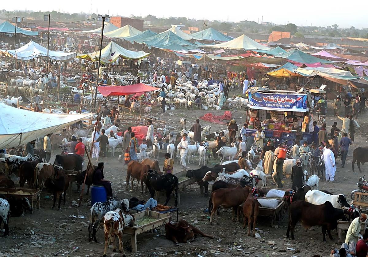 Campamento de peregrinos pakistaníes que se dirigen a La Meca para el Hach