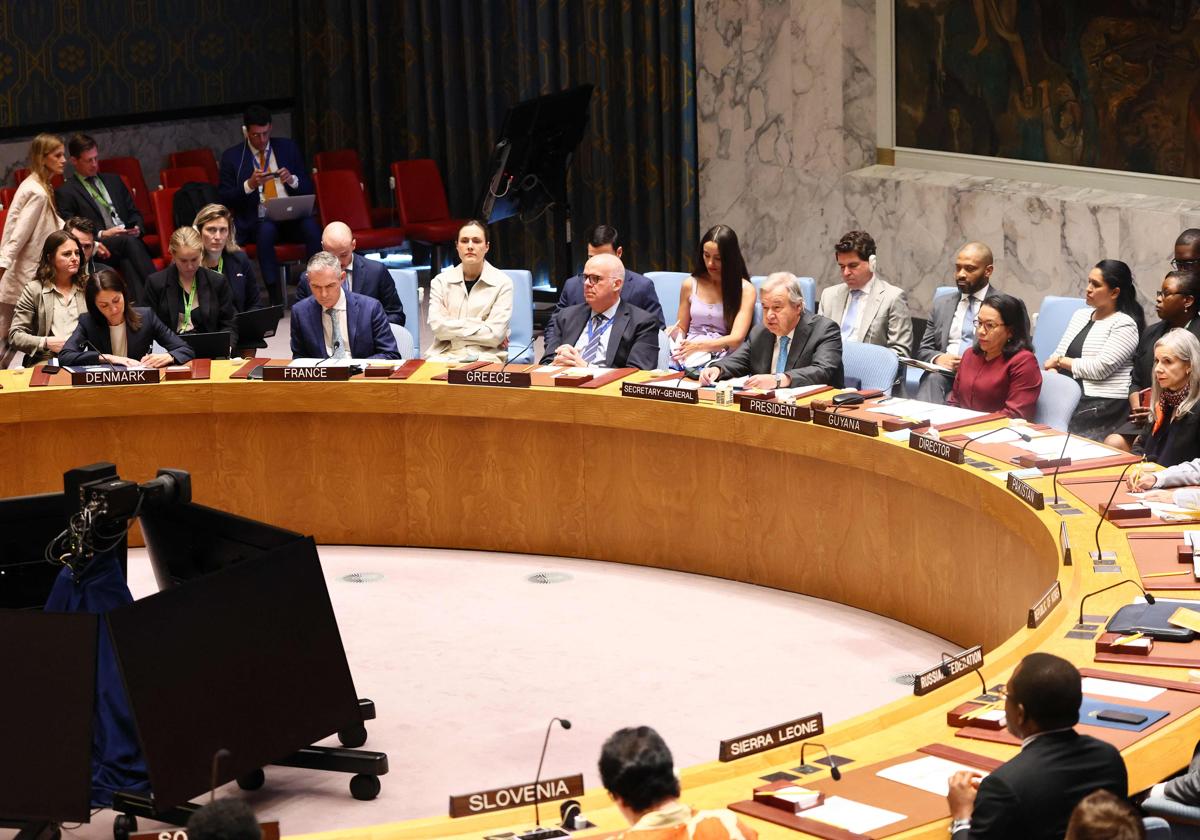 El Consejo de Seguridad de la ONU