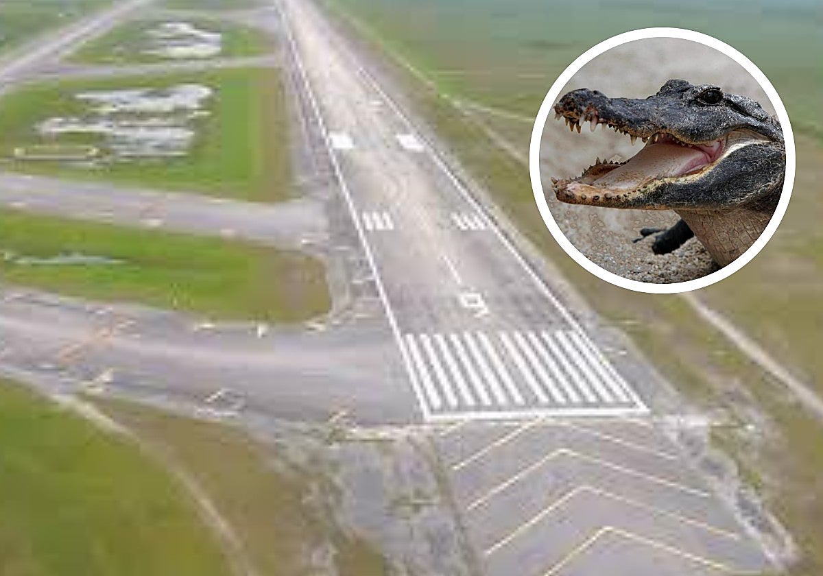 Aeródromo abandonado en los Everglades de Florida que albergará el 'Alligator Alcatraz'