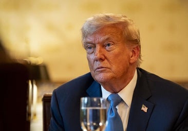 Trump, «decepcionado» con Putin, enviará más armas a Ucrania