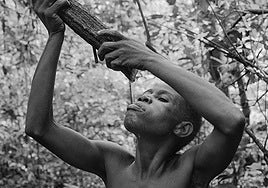 Los baaka:  el corazón que aún late en la selva africana