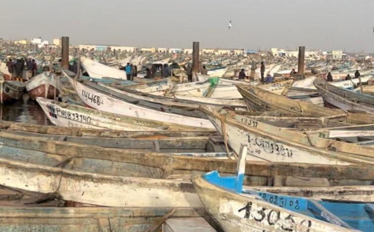 Imagen principal - Un mar de pateras inunda el puerto de Nuadibú (imagen superior horizontal). La multitud se aloja para comprar pescado en la lonja de Nuakchot (imagen inferior horizontal). Jóvenes polizones cruzan el Sahara en el 'tren del hierro' para llegar a las costas de Mauritania (imagen vertical)