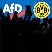 El Dortmund prohíbe al partido de extrema derecha alemán AfD usar los colores del club en su campaña electoral