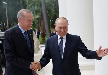Putin habla con Erdogan en plena negociación de una cumbre con Zelenski