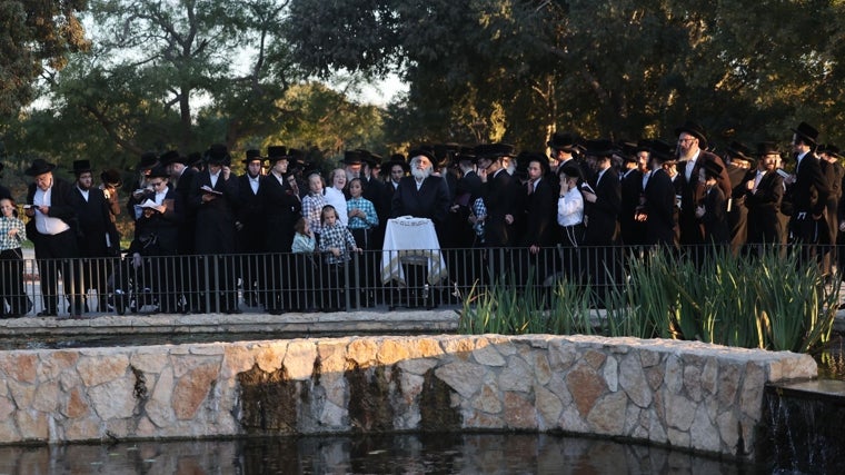 Judíos ultraortodoxos rezan durante un ritual judío llamado «Tashlich», realizado frente a un estanque antes de Yom Kipur,
