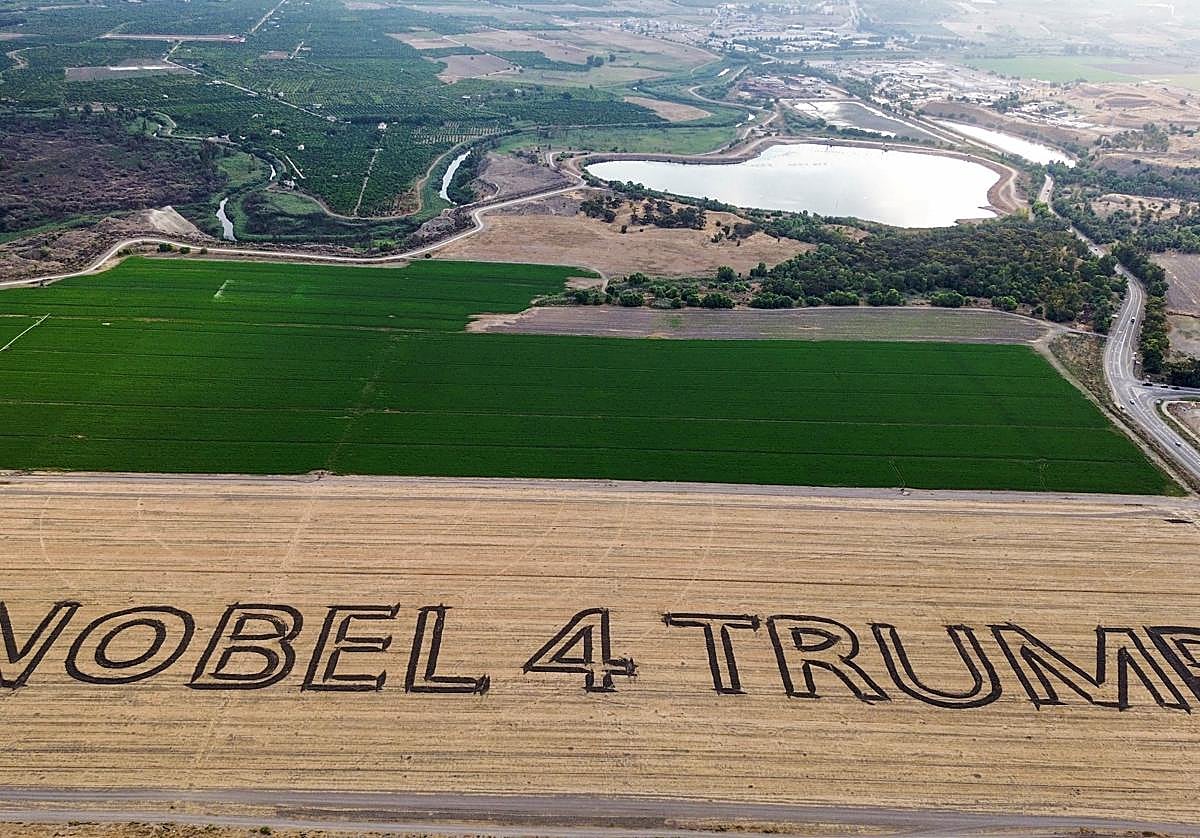 «Nobel 4 Trump»: la obra creada por un agricultor israelí pidiendo el Nobel para Trump