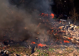 Varios muertos y al menos 19 desaparecidos tras una grave detonación en una fábrica de explosivos estadounidense