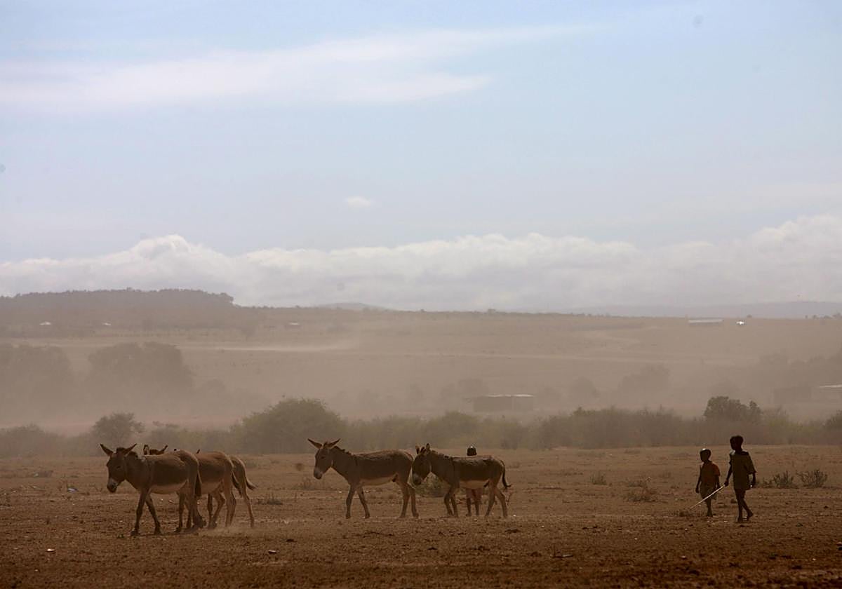 La reserva turística de Masái Mara en Kenia (imagen de archivo)