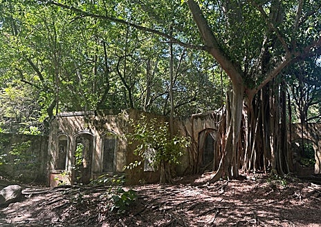 Imagen secundaria 1 - Arria, panorámica de la ciudad de Armero tras la erupción del volcán Nevado del Ruíz; debajo, vestigios de la ciudad 40 años después de la erupción del volcán Nevado del Ruiz