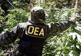 Bolivia reabre la puerta a la DEA para colaborar con Trump en la lucha contra el narcotráfico