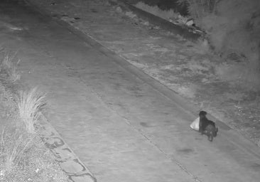 Adiestra a su perro para tirar la basura de forma ilegal y evitar las multas