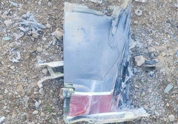 Recolectar agua, comer bayas y moverse de noche: ¿es posible sobrevivir tras ser derribado por el enemigo?