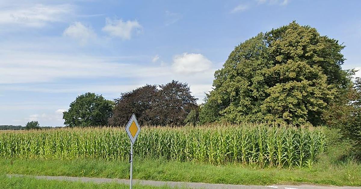 Mueren tres personas tras caerles encima un árbol durante una búsqueda de huevos de Pascua en Alemania