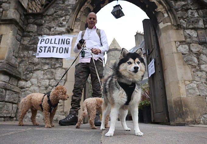Los británicos acuden a votar con sus perros, omnipresentes en la vida cotidiana del Reino Unido.