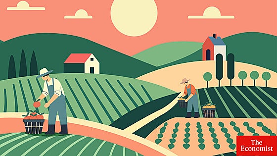 Donald Trump está arruinando a los agricultores estadounidenses, pero estos le apoyan