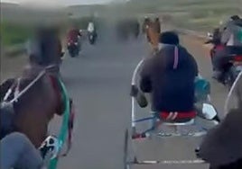 Investigan una carrera clandestina de caballos con disparos de kalashnikov en Sicilia