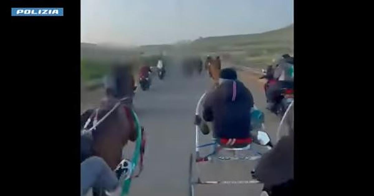 Investigan una carrera clandestina de caballos con disparos de kalashnikov en Sicilia
