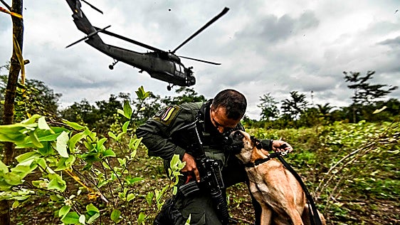 Cocaína, la guerra que Colombia no logra ganar