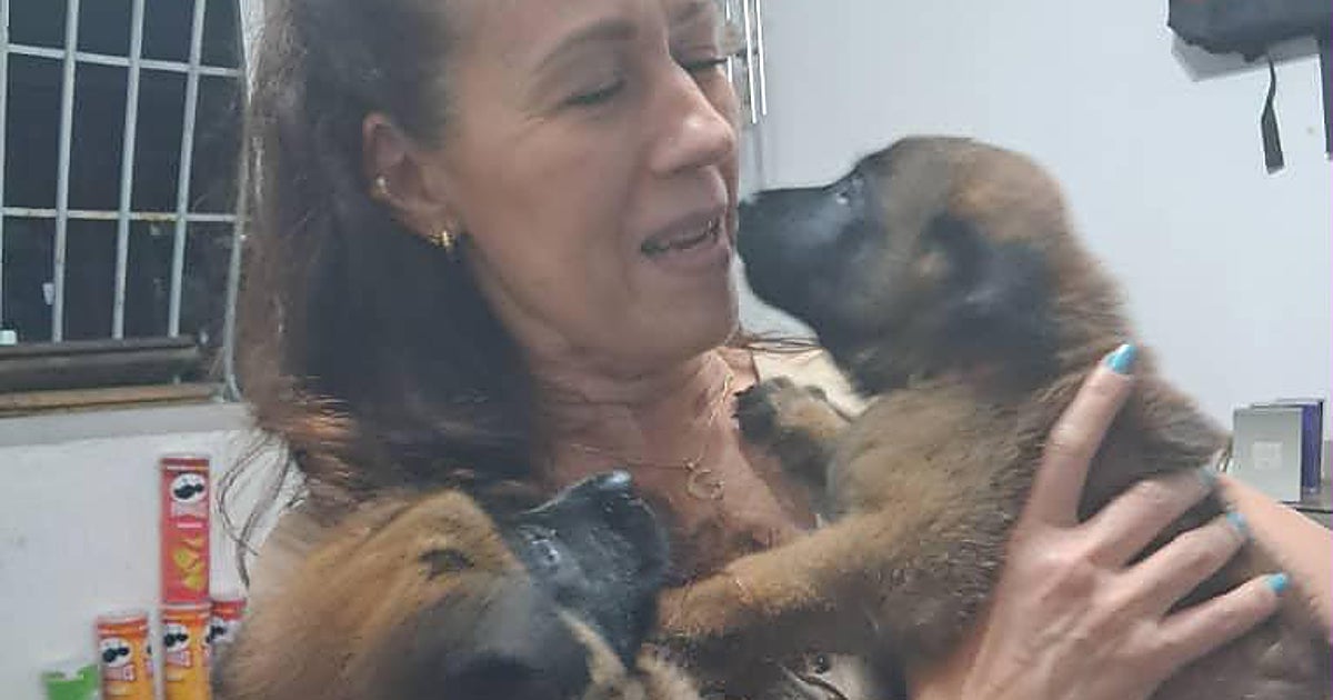 Izkandé y Luna, cuando la esperanza sobrevuela una montaña de escombros