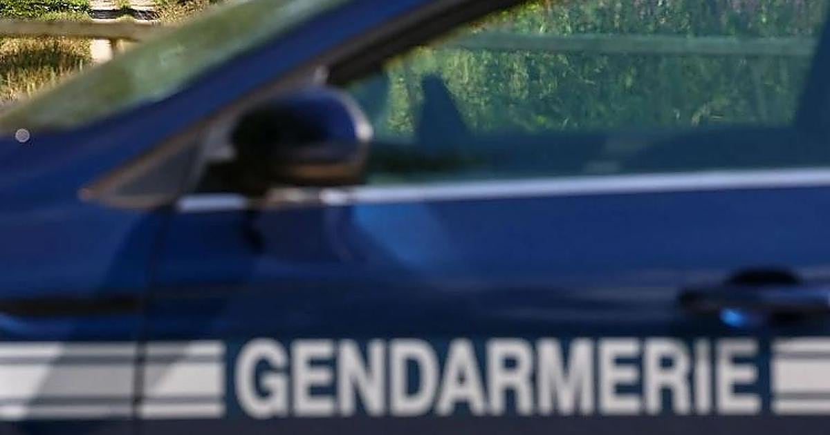 Fransa'da 15 aylık ikiz bebekler susuzluktan öldü, dört kardeşi hastaneye kaldırıldı