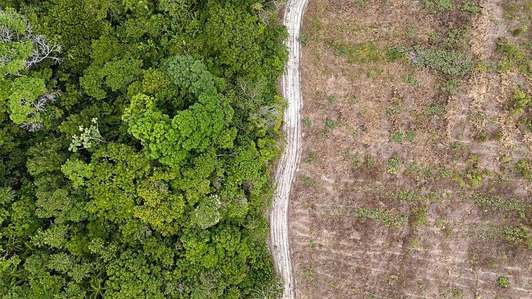 La deforestación del Amazonas cae a su nivel más bajo en una década