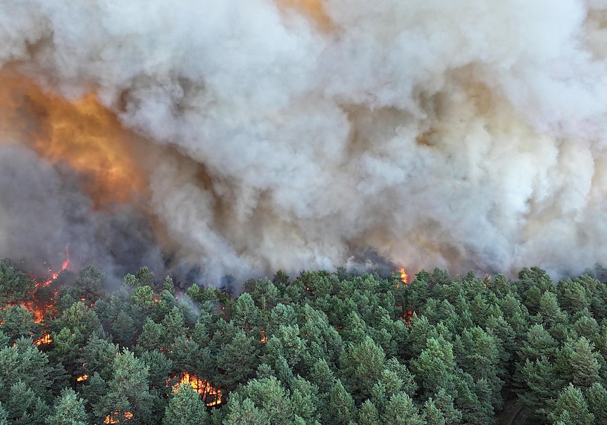 Un incendio devora más de 800 hectáreas en Fontainebleau y afecta los accesos a París