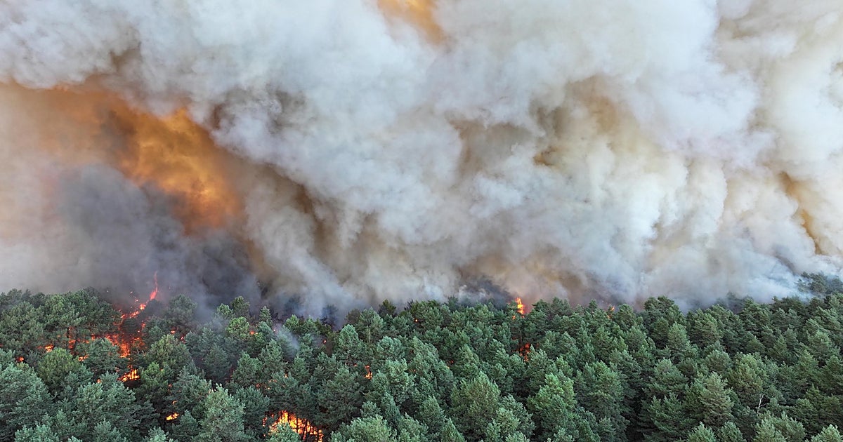 Fontainebleau'da 800 Hektardan Fazla Alanı Yutan Yangın Paris'e Erişimi Etkiliyor