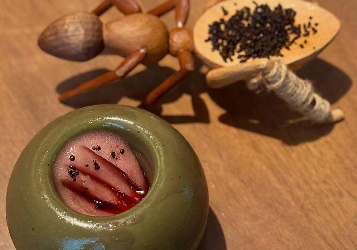 Piden cárcel por servir un sorbete con hormigas en un restaurante con dos estrellas Michelín en Corea del Sur