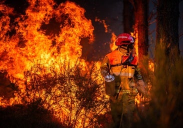 Francia consigue contener el megaincendio en Gironda al mejorar las condiciones meteorológicas