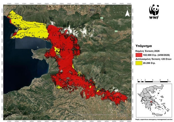 Más de 230 incendios queman en una semana en Grecia un tercio de la superficie calcinada en 2025