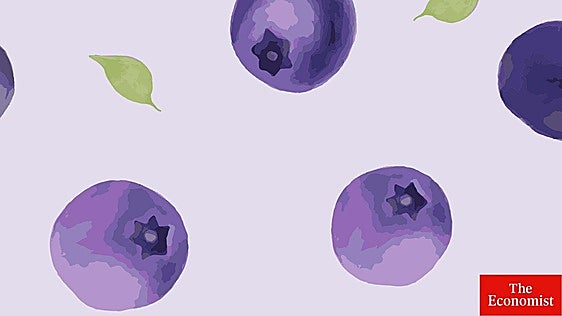 Olvídese del oro y del cobre: el último auge de África se centra en los arándanos y las naranjas