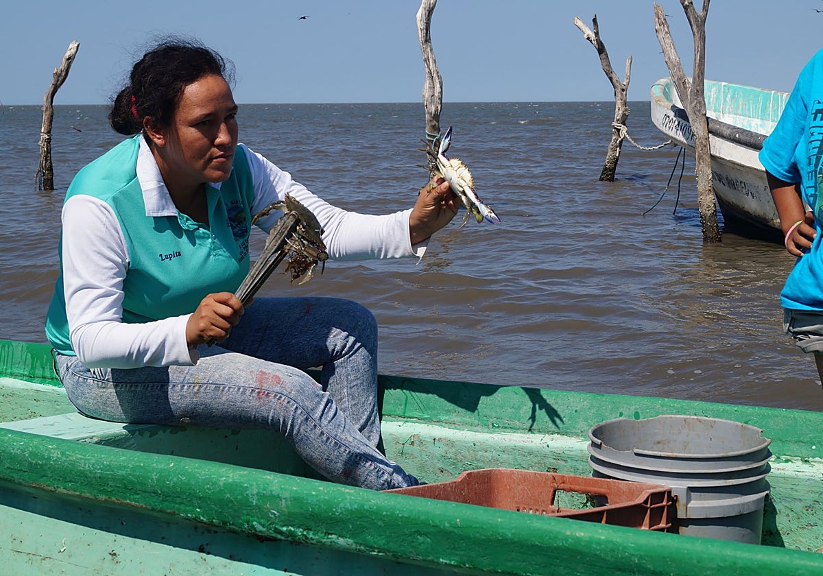 El avance criminal de las mafias chinas en Chiapas devasta la fauna autóctona