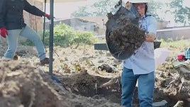 Los siete integrantes del último Secretario de las FARC inician su condena con trabajos sociales