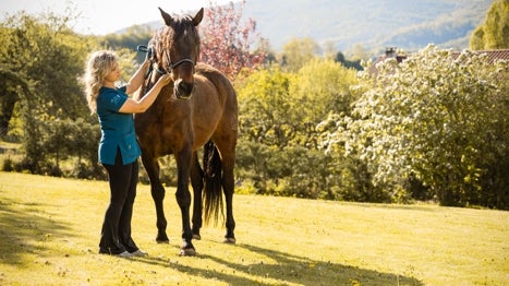 La veterinaria rural que viaja de pueblo en pueblo para cuidar a los animales de la zona
