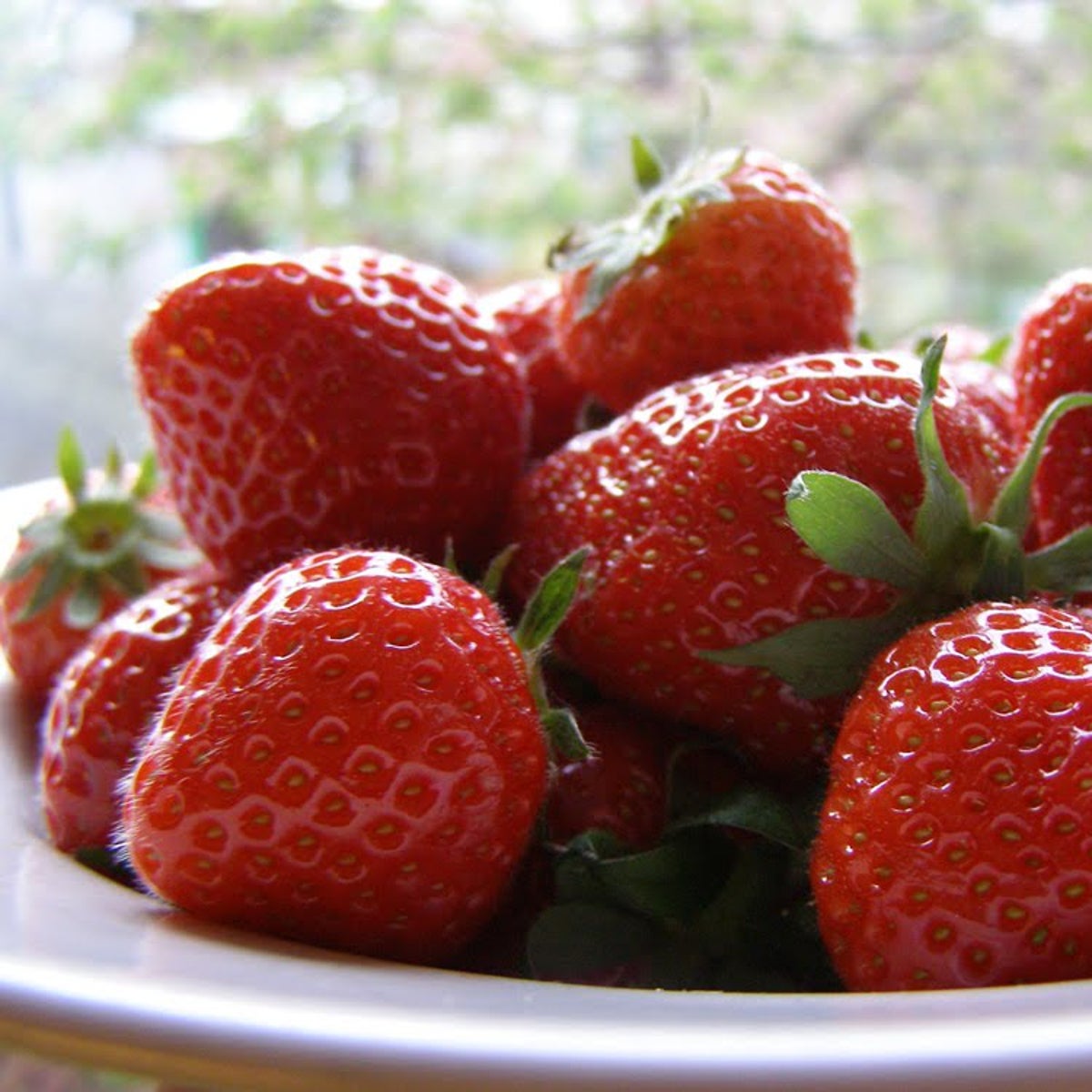 Usan bacterias y residuos de fresas para obtener biogás