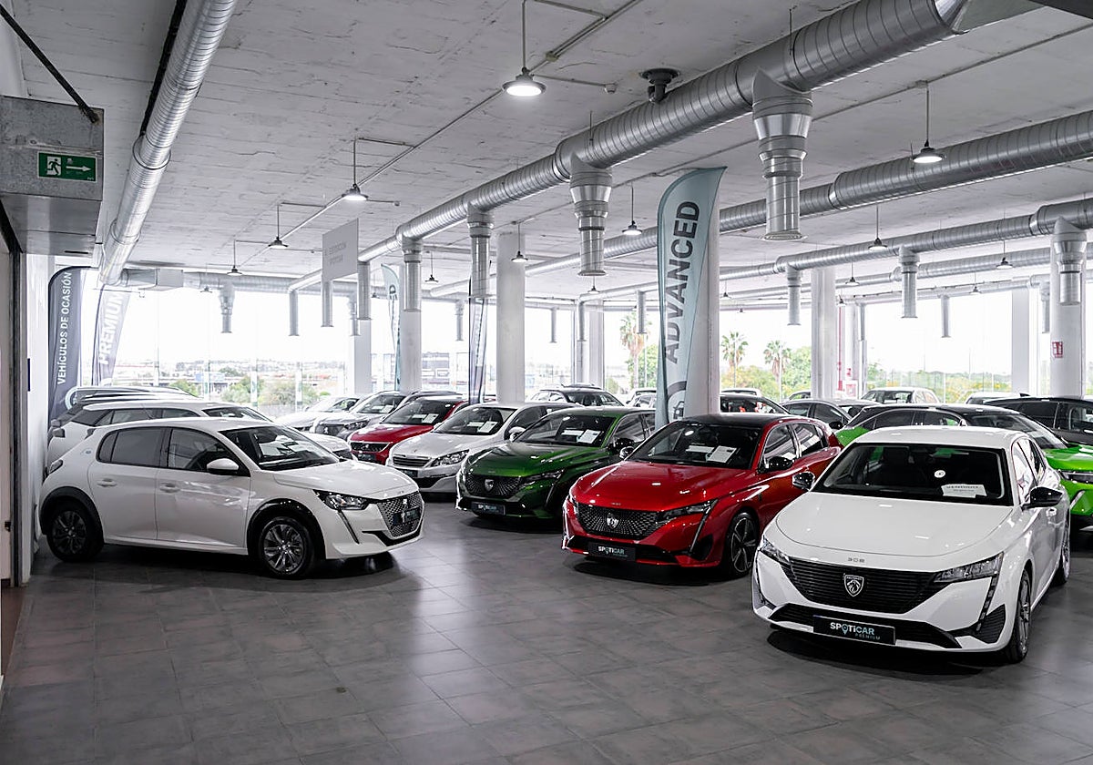 Concesionario Automares del Grupo Concesur