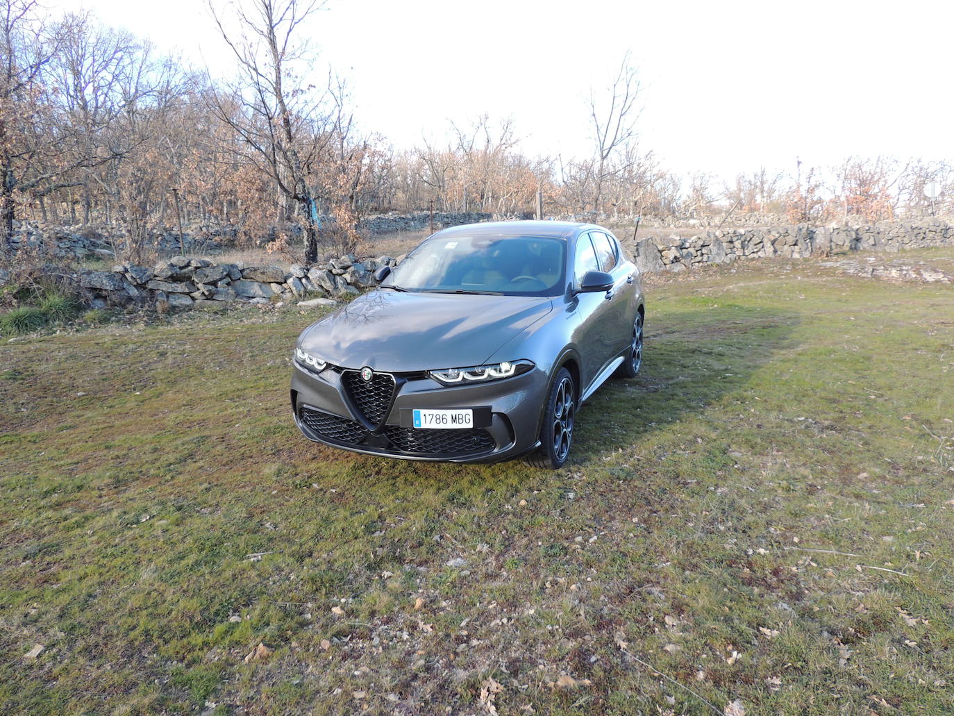Alfa Romeo Tonale llega al mercado con dos niveles de electrificación: Híbrido e Híbrido Enchufable Q4, ambos al mejor nivel de su segmento y preparados para ofrecer una auténtica experiencia electrificada.
