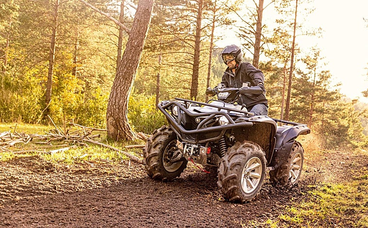 Imagen principal - Logo conmemorativo