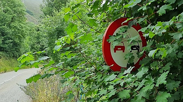 Señalización oculta