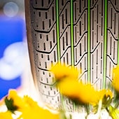 Arroz y plástico reciclado: Así podrían ser los neumáticos sostenibles del futuro