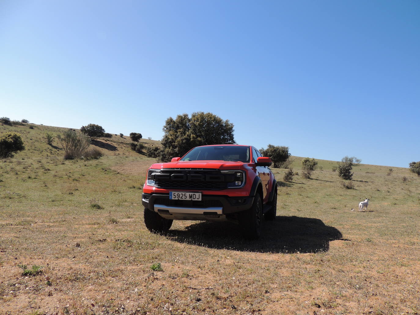El Ranger Raptor también ha sido protagonista de un espectacular vídeo junto a Aymar Navarro, freerider profesional y embajador de Ford, en el que el Ranger Raptor era capaz de seguirle el ritmo en los parajes más escarpados del Valle de Arán.