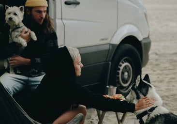 Qué debes llevar en tu autocaravana (y saber) si viajas con tu mascota
