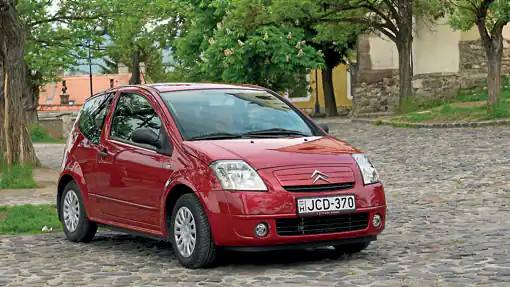 Con este galardón, en 2004 el Citroën C2, junto al premiado del año anterior, el C3, con un total de 66.101 unidades matriculadas entre ambos en España, dan al fabricante francés el liderazgo de ventas en la categoría de vehículos de menos de cuatro metros. De hecho, tras las cifras de 2004, Citroën consolida su segunda posición en el mercado de turismos español, puesto que también ostenta en el mercado total. Atentados del 11-M: Explosión de diez bombas en cuatro trenes en Madrid y se celebra el enlace matrimonial entre S.A.R. el Príncipe de Asturias y Doña Letizia Ortiz Rocasolano.