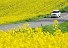 Cómo protegerse de las alergias de primavera en el coche