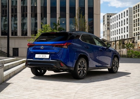 Imagen secundaria 1 - Lexus UX 300 h